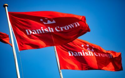 Microsoft 365 Governance-forløb kaster lys over blinde vinkler hos Danish Crown